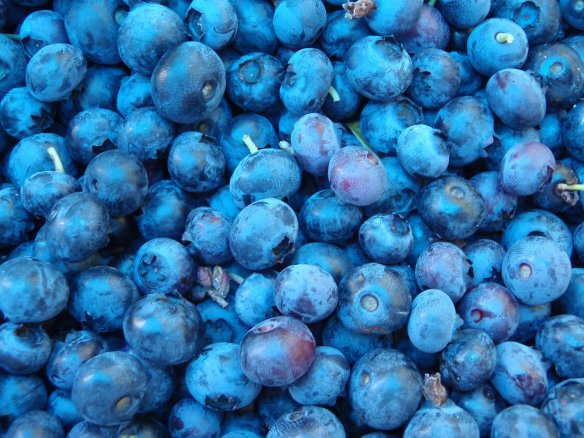 Blueberries