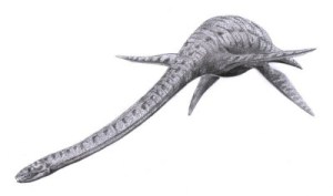 Plesiosaur